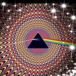 Meet your Posher, Terry